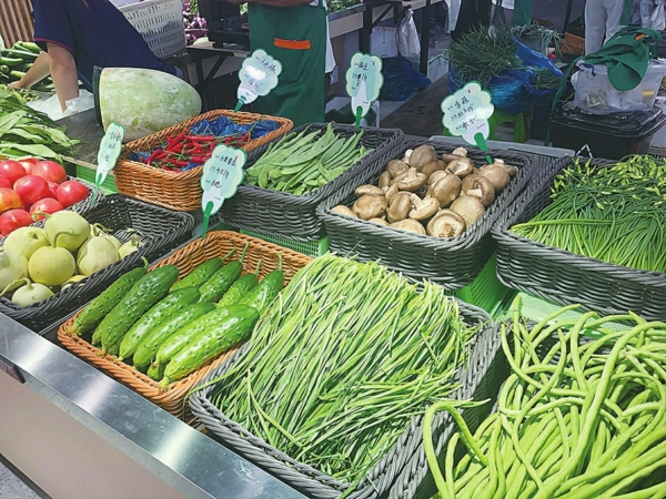 蔬菜品种丰富