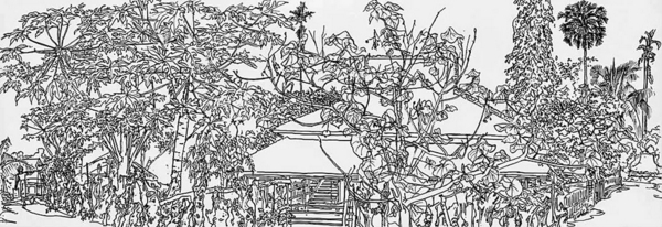 纸本钢笔《傣族村寨一》1978年