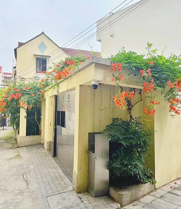 沿街的垃圾厢房也被初夏的满目凌霄扮靓