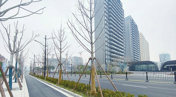 大木桥路