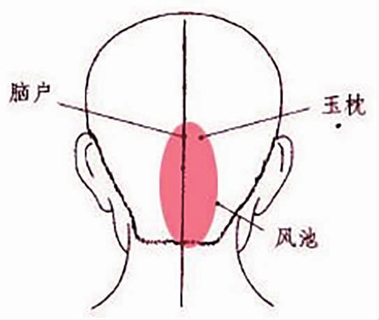图⑤