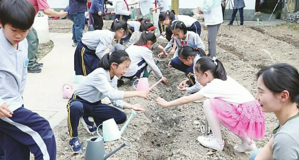 播种时光
