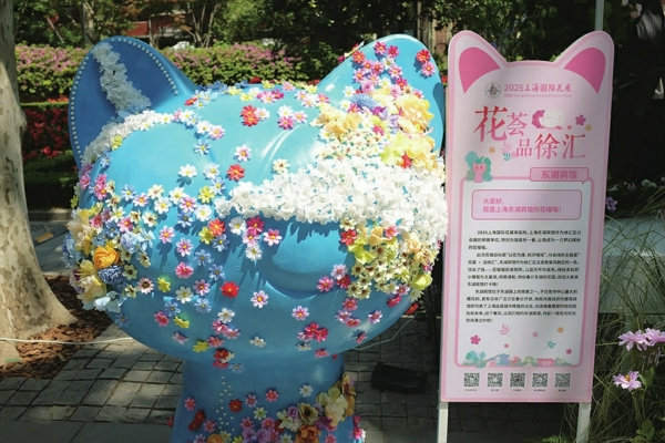 东湖宾馆的花喵喵